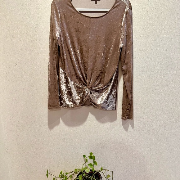 Champagne Velvet Evening Blouse, NWOT, Medium - Picture 2 of 3